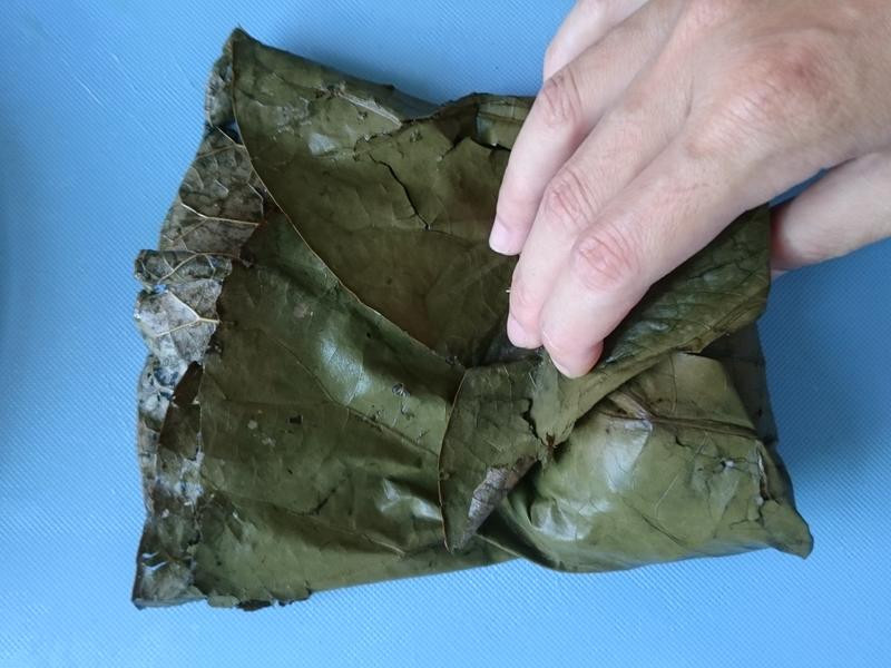 ��Ҷ�����ӵ�����