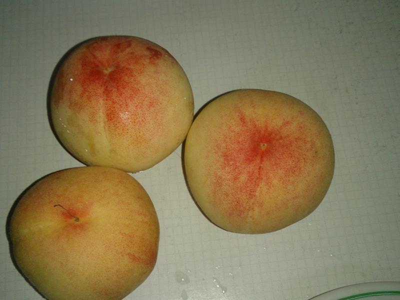 ˮ�����㽶ɳ��������