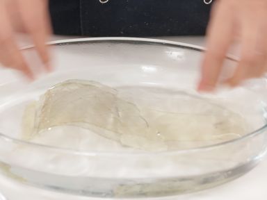 ���ɿ���Ľ˹������