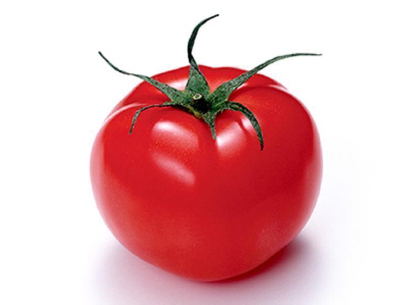 ����������������������