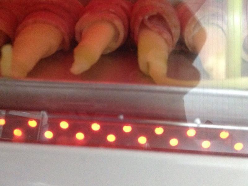 ��������ȵ�����