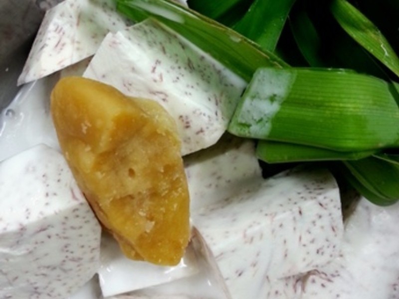 Ҭ������ͷ������