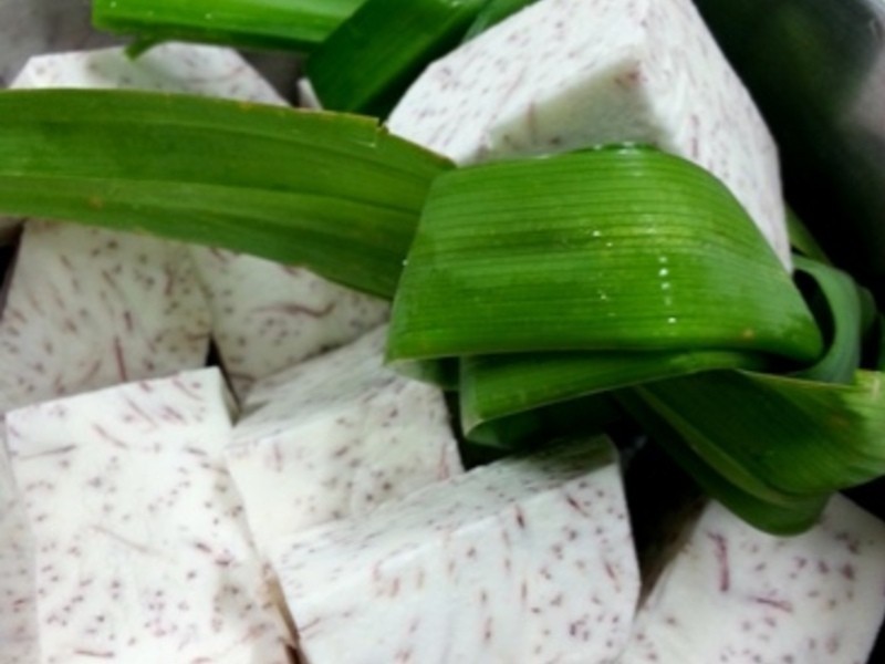 Ҭ������ͷ������