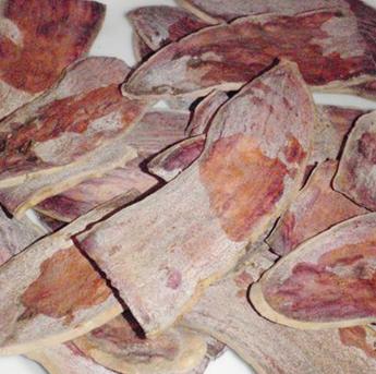 �����ɵ�����