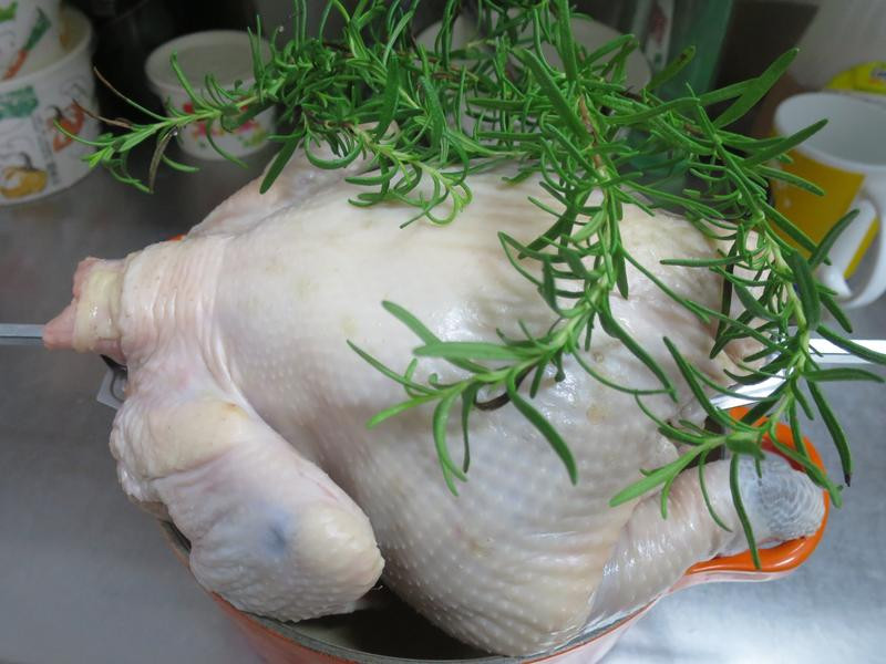 ���㿾���ͷ�ɳ��������