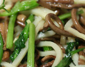 ��ɽާ�˵�����