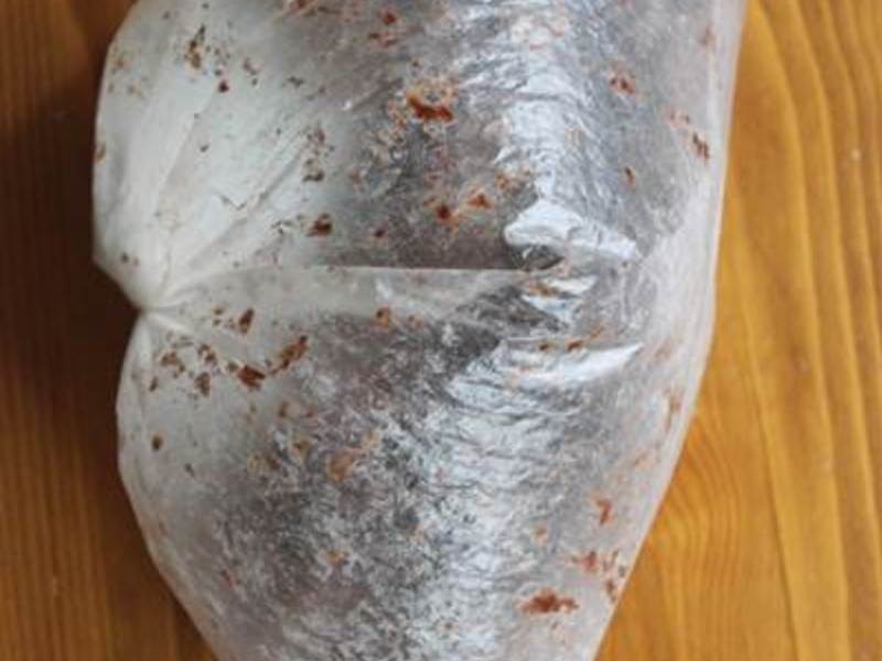 ���������硿�����ɿ������������