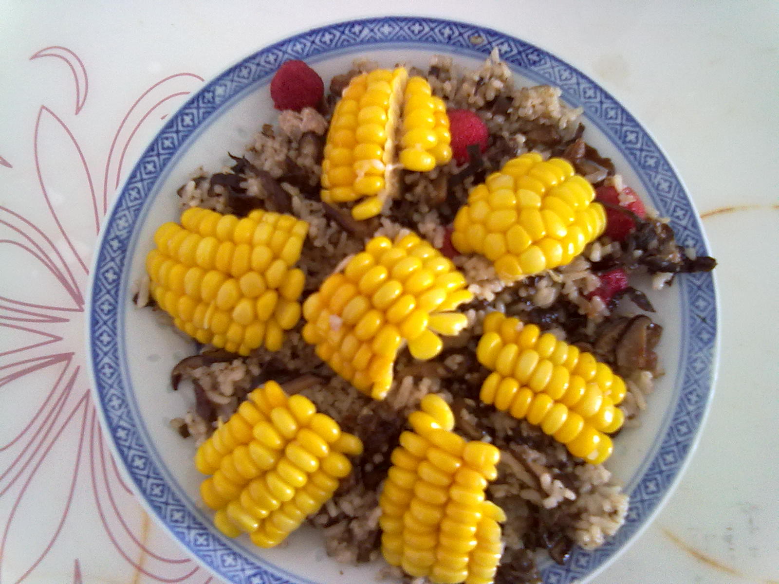 �����㹽ľ������������