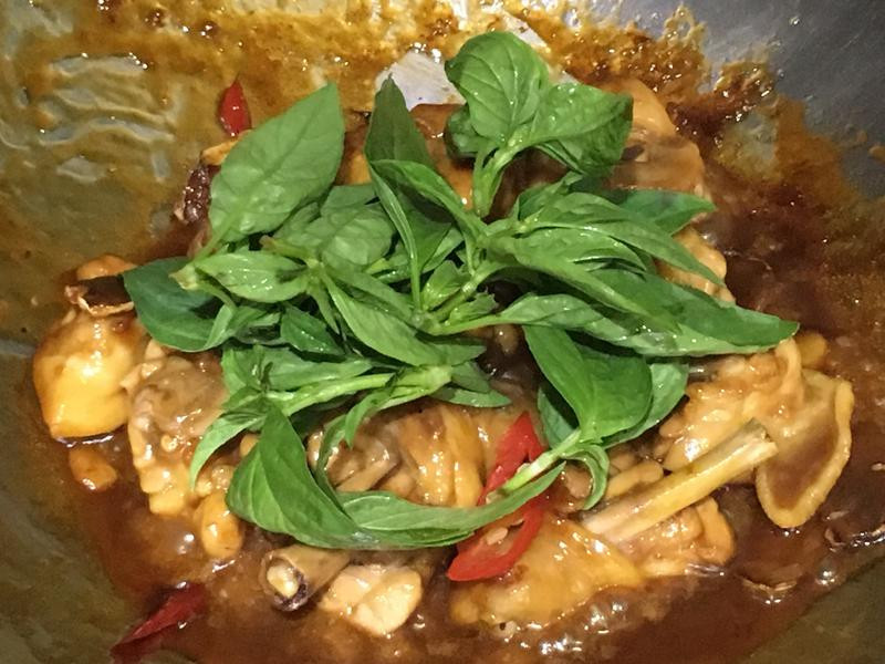 �ȳ�������������