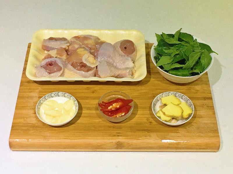 �ȳ�������������