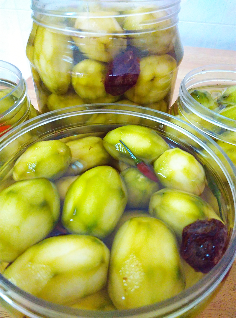 ����ɳ���������