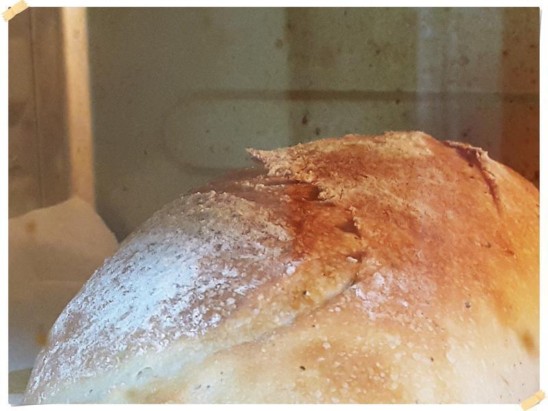 ���Һ���������������(���ֲ�����)������