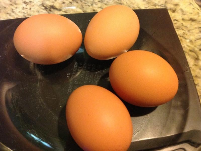 �����Ϲ�����Խݮ������Ƭ?!!!������