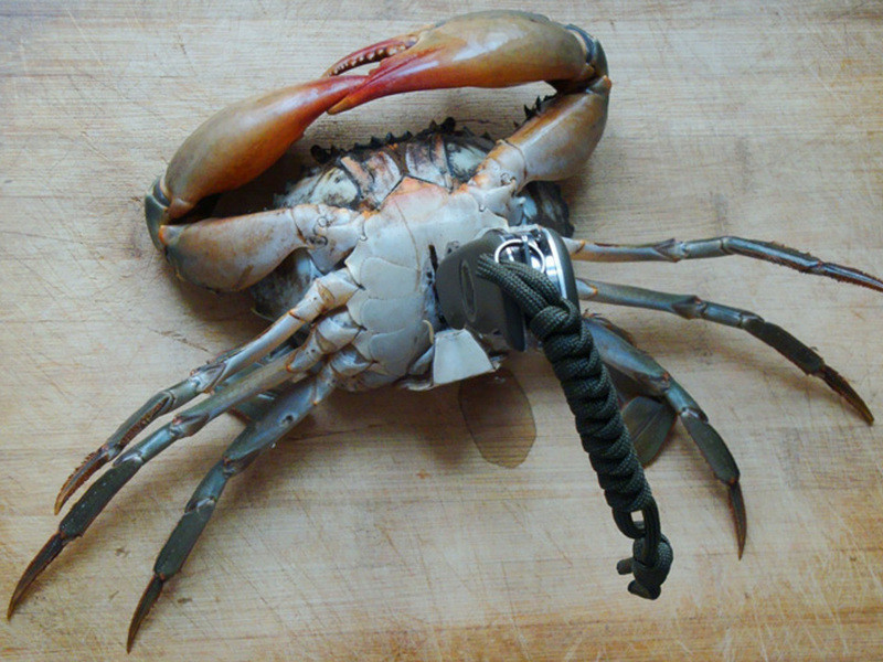 ��³�ˣ�������з������