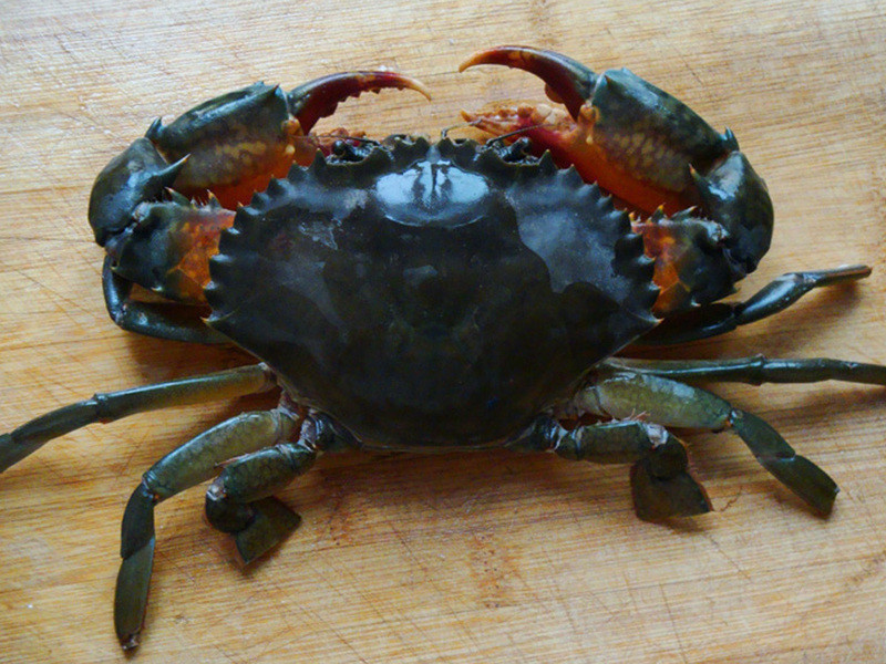 ��³�ˣ�������з������