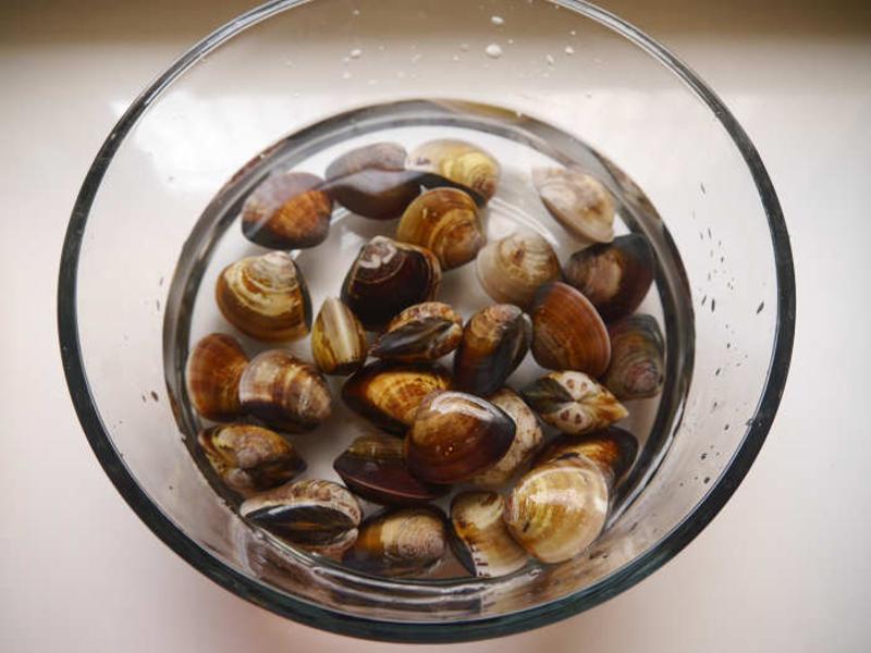 ����˿�������?�����ʤ����������