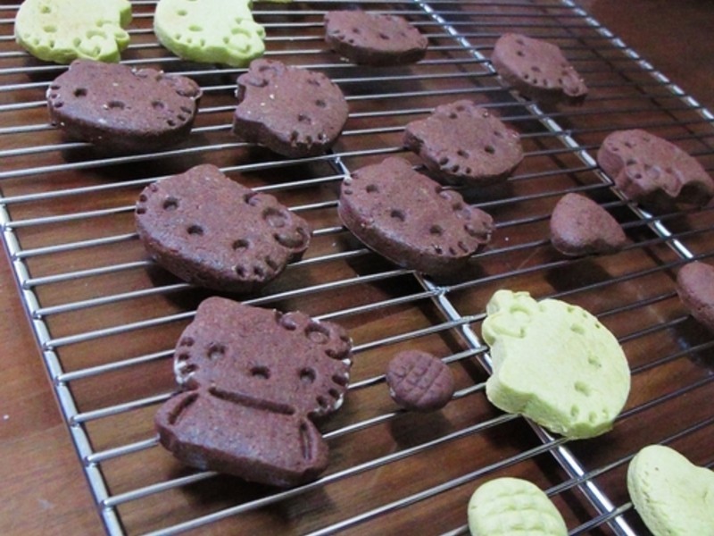 ������ĸ֮ Kitty С���ɵ�����