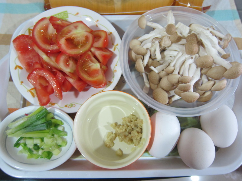 ��ľ���� ެ�ѵ�Ӫ���������