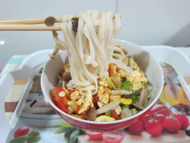 ��ľ���� ެ�ѵ�Ӫ���������