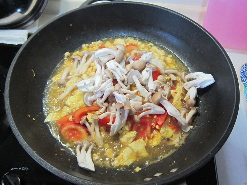 ��ľ���� ެ�ѵ�Ӫ���������