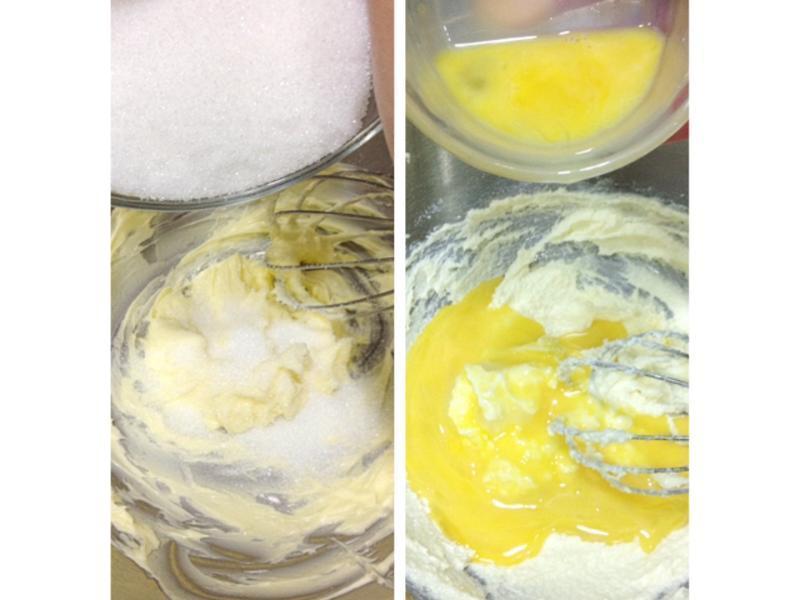 �㽶�ɿ�����������������