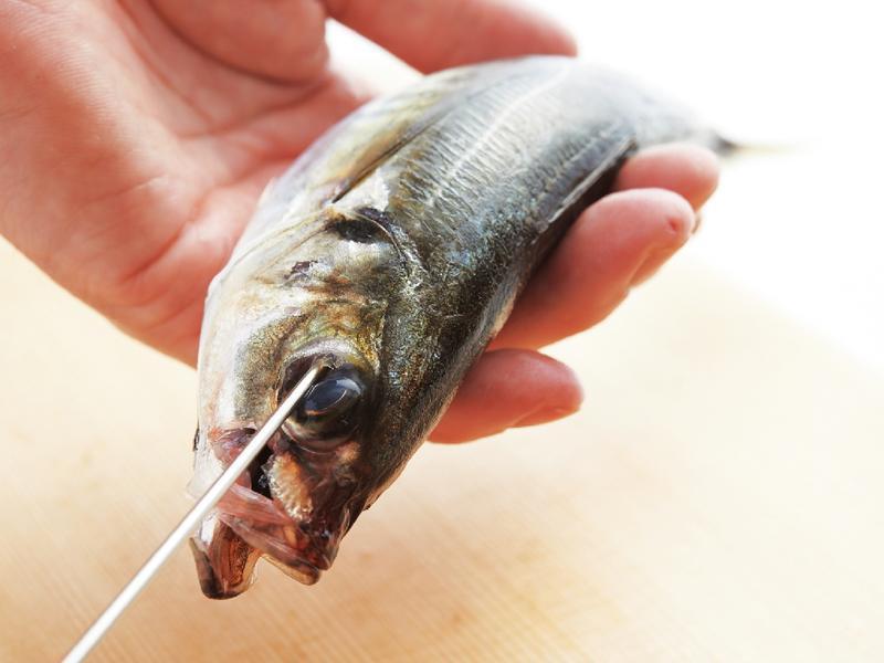 ����Сʳ�ã�������ʳ �ο���?�������