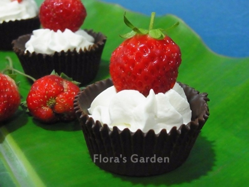 ��ݮ�����ɿ�����������