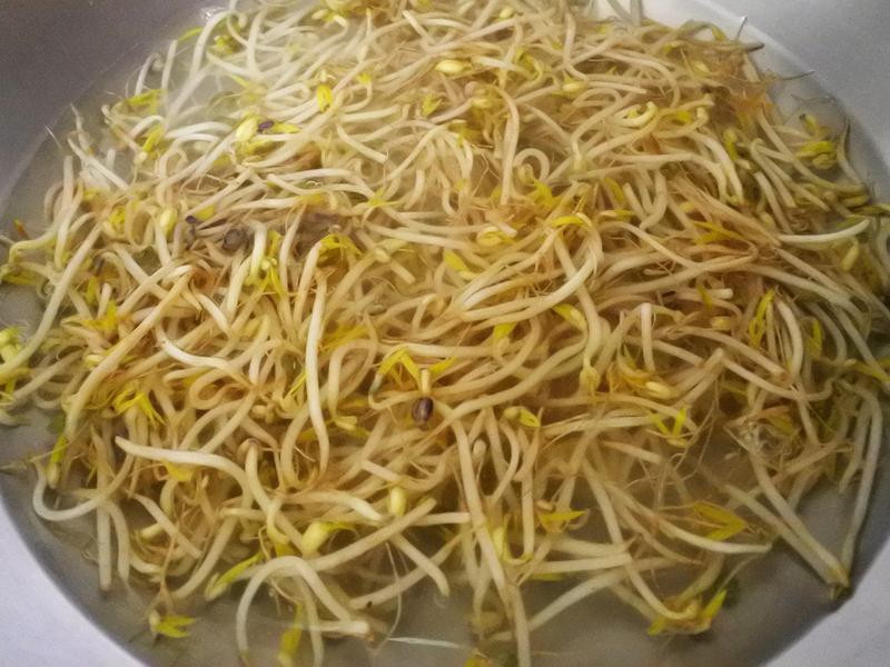 ��ʽ��ѿ�ݲ˵�����