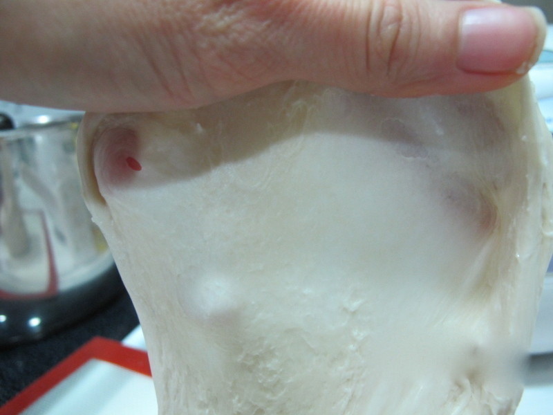 ���� ���� ���������� �ڱ�Ƥʾ��Ӱ��������