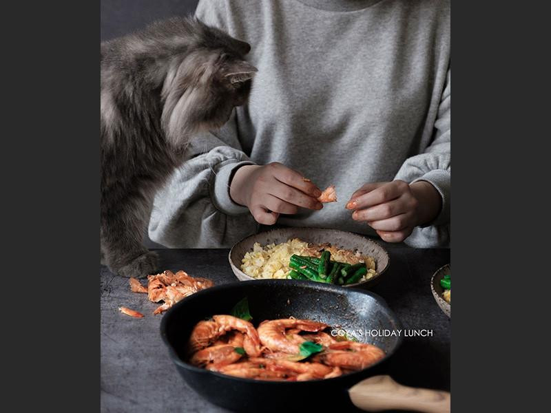 �쿧��������������Ϻ������