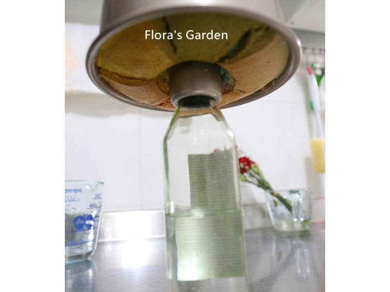 ��ʽ��ɫ�ݷ絰�������