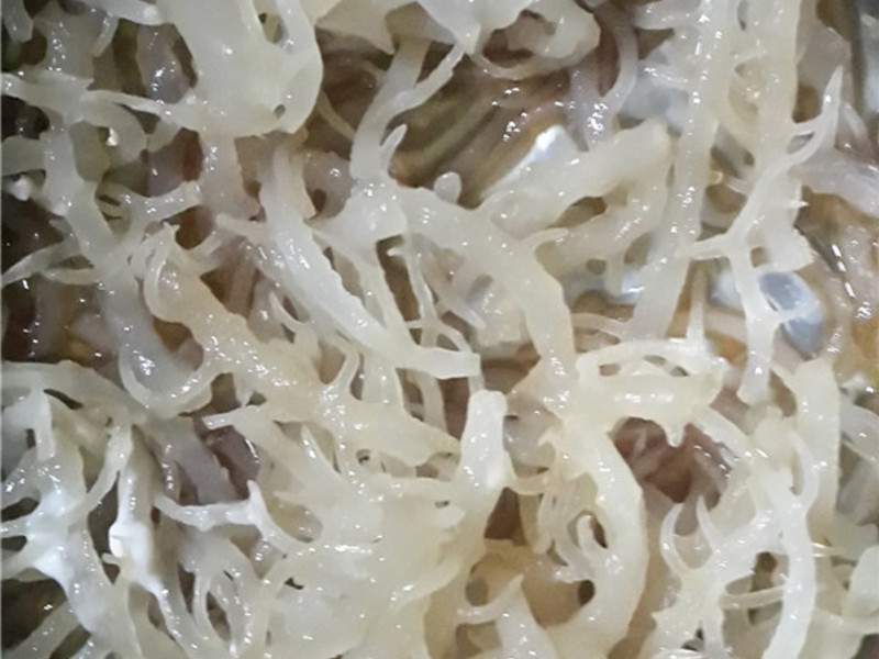 ��������ɺ���ݵ�����