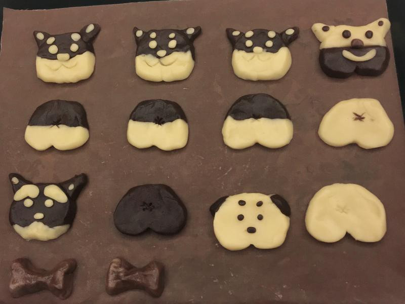 ˫ɫ����������ɵ�����