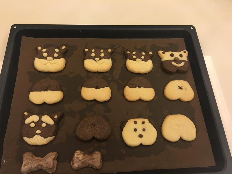 ˫ɫ����������ɵ�����