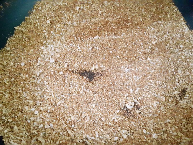 ֥�������ɵ�����