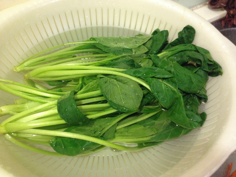 ����ѩ�˶����������