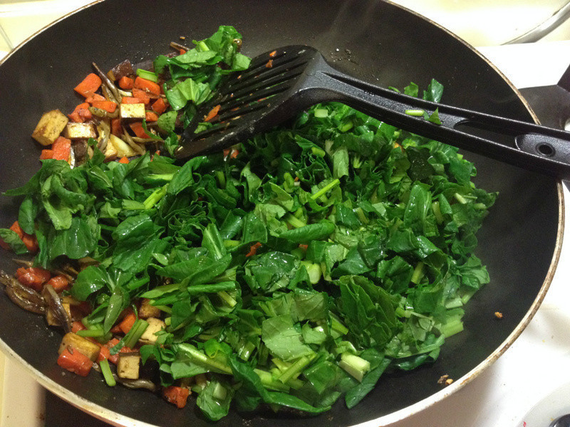 ����ѩ�˶����������