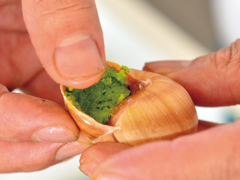 ��ŷ��ʥ�����硿�����ط�ζ�����ݵ�����