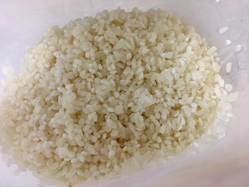 �㹽��˿�������������