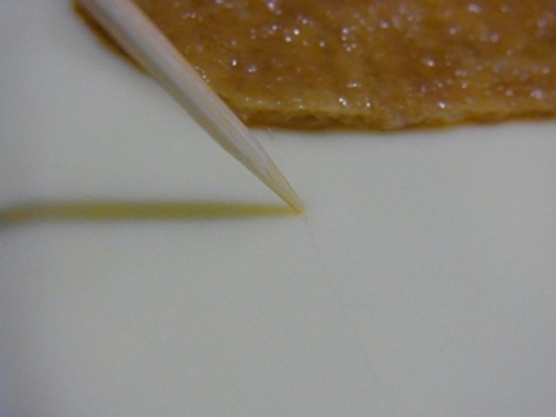 Ģ���˷���Funghi������