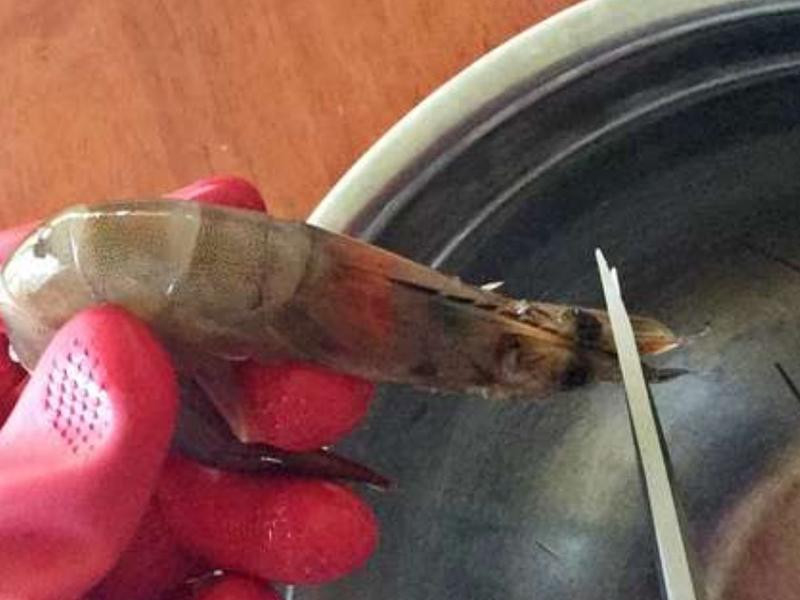 ��֭��Ϻ������