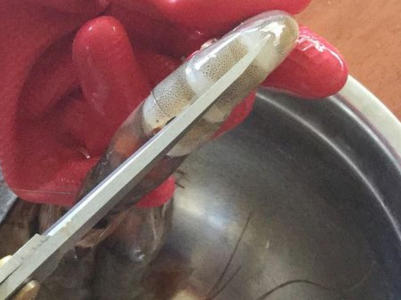 ��֭��Ϻ������