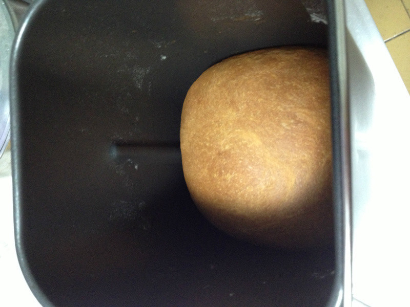 �����������������