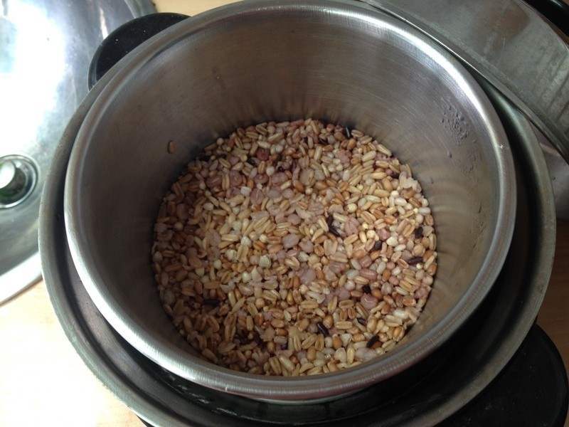 ����Ģ�����ŵ�����