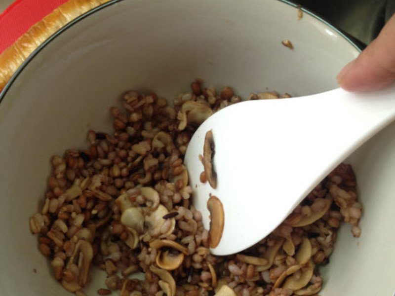 ����Ģ�����ŵ�����