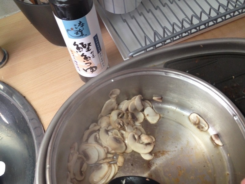 ����Ģ�����ŵ�����