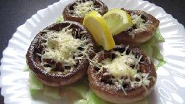 ֥��Ģ�����������