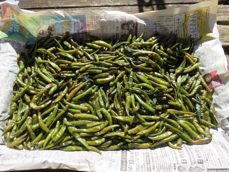 �����ݽ�������