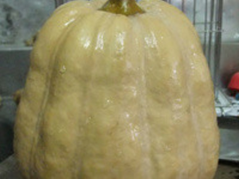 ?С��������?��ˬ�ΰ�����Ϲϵ�����