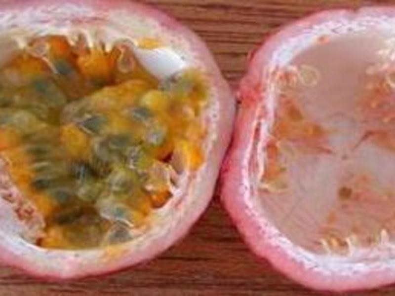 ?С��������?��ˬ�ΰ�����Ϲϵ�����